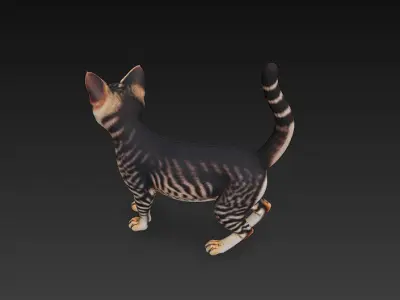 Cat Tabby Realistic 3D Model Basic - Low Poly Realistic Low-poly 3D model