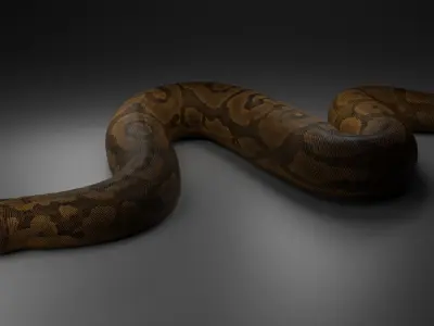 Titanoboa  Low-poly 3D model