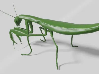 Mantis praying 3D model