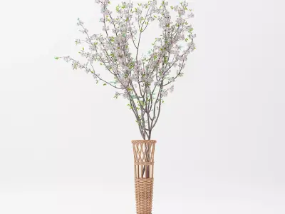 Basket Vase and Sakura Flower Free 3D model