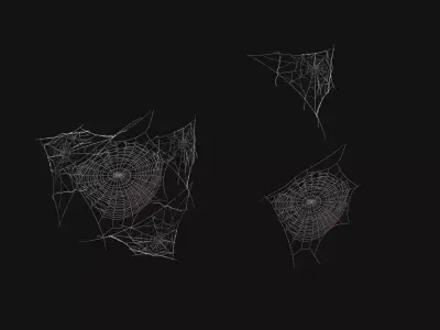 Spider Webs 3D Model Low-poly 3D model