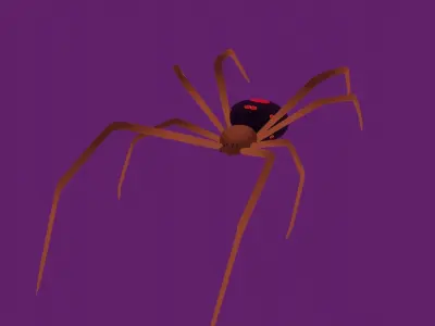 Red Widow Spider Low-poly 3D model