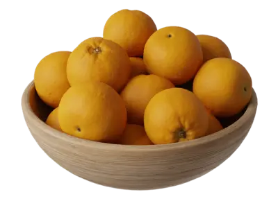  Orange Fruit Bowl Food Model 