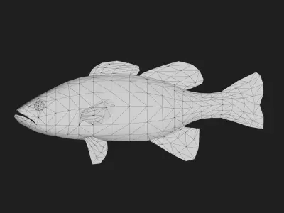 Smallmouthbass Low-poly 3D model