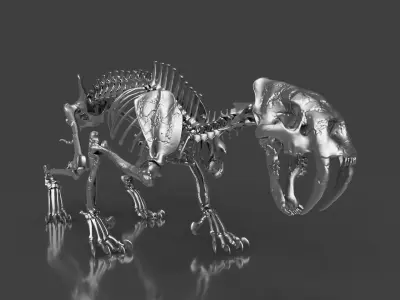 Silver Sabretooth Skeleton for Visualization and Display 3D model