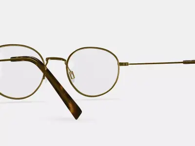Rafael Eyeglasses in Polished Gold 3D model