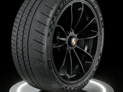Michelin Pilot Sport CUP 2 R 255 35 ZR20 97Y GT3 3D model