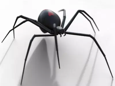 Black widow Low-poly 3D model