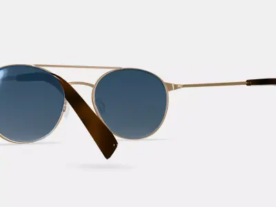 Fisher Sunglasses in Polished Gold 3D model