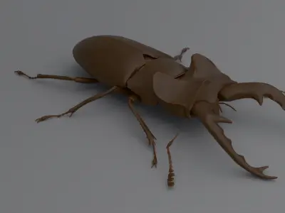 Stag Beetle Low-poly 3D model