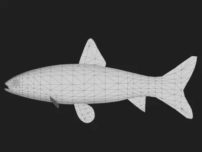 Carp fish Low-poly 3D model
