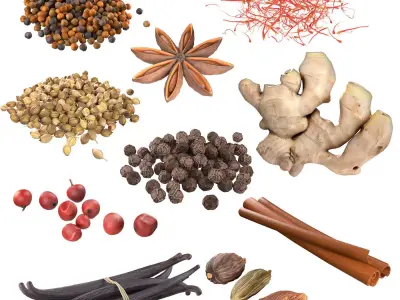 Spice Collection v2  Low-poly 3D model