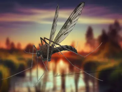 Whisper Wing Silent Hunter free mustique Low-poly 3D model