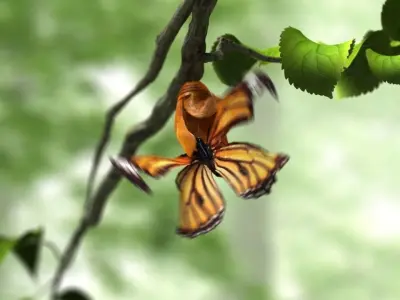 butterfly broken chrysalis 3D model