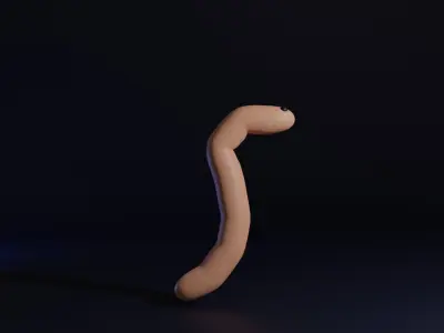Worm and Caterpillar Cartoon 3D model