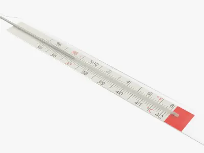 Medical Mercury Thermometer 3D model