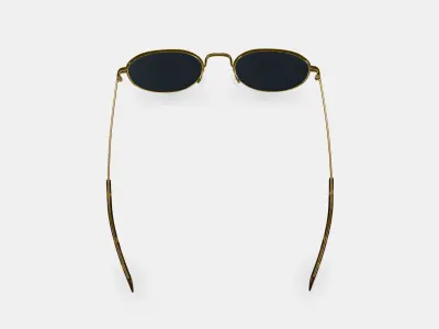 Rafael Sunglasses in Polished Gold 3D model