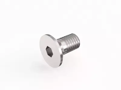 Screw 67 3D model