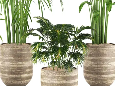 Indoor Plants in Ferm Living Bau Pot Large - Set025 3D model