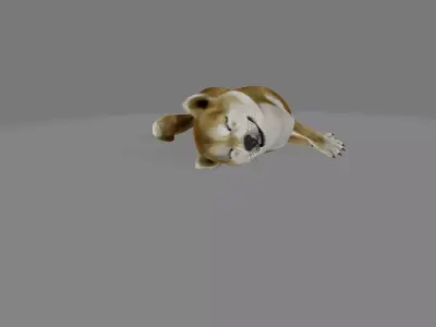 animated shiba inu dog Low-poly 3D model