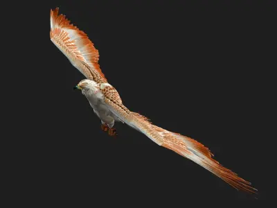 Eagle V2E 3D model