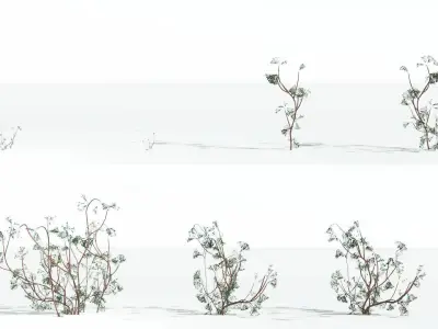 EVERYPlant Baiera LowPoly 4 --14 Models-- Low-poly 3D model