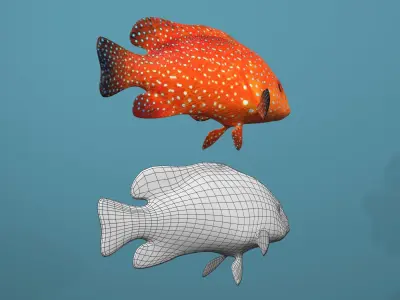 Roving Coral Grouper Low-poly 3D model