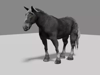 Black Wild Horse fully rigged Low-poly 3D model