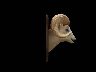 Ram Head - PBR - Textured Low-poly 3D model