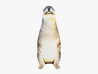 Sea Lion Free 3D model
