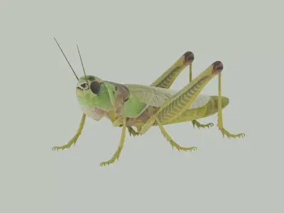 Grasshopper 3D model