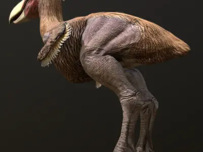 Kelenken Low-poly 3D model