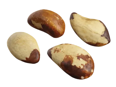  Raw Brazil Nuts Model 