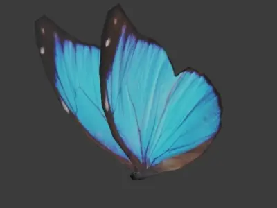 Butterfly - Insect Low-poly 3D model