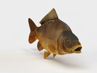 Mirror Carp Fish Cyprinus Carpio 3D model