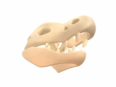 Dinosaur Skull 3D model