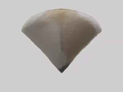 Coyote Tail Model 3D model