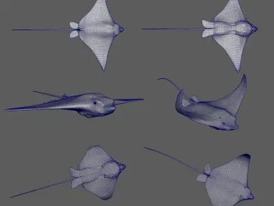 Realistic rigged Spotted Eagle Ray 3D model