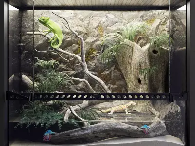 A set of terrariums  bonus Blue Island Viper Low-poly 3D model