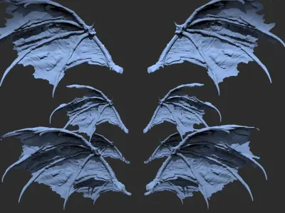 Bat Wings Collection 1 3D model