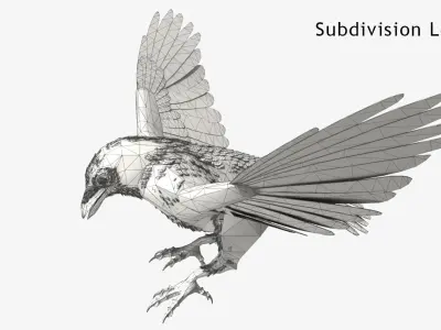 Crow - rigged - animated - Standard - PBR - VRAY Low-poly  3D model