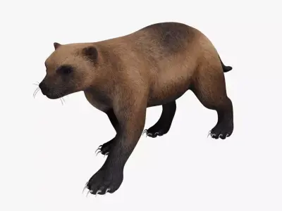Wolverine 3D model