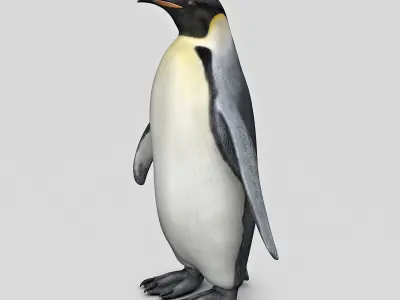 Penguin - Emperor 3D model