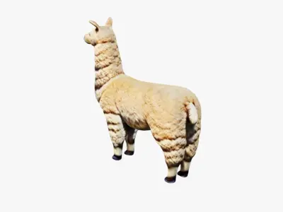 Llama Free 3D model purchase