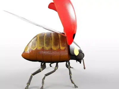 Ladybug insect Low-poly 3D model
