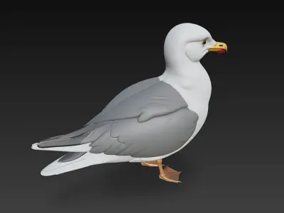 Seagull Realistic 3D Model Basic - Low Poly Realistic Low-poly 3D model
