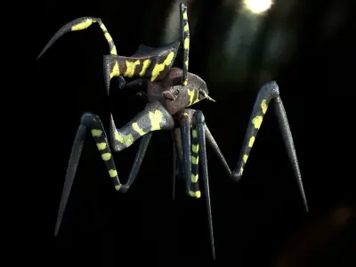 Warrior Bug Low-poly 3D model