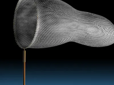 Butterfly net 3D model