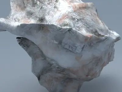 Sea Snail Conch Low-poly 3D model