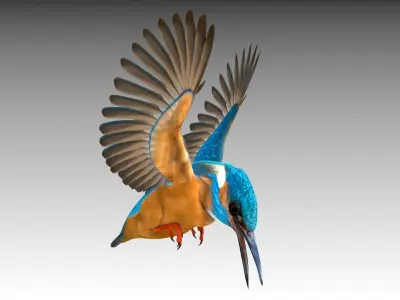 Kingfisher Low-poly 3D model
